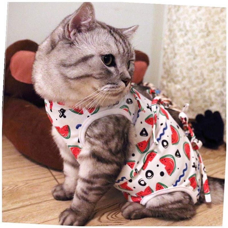 PETCIRCLE cat clothing garment of female sterilization
