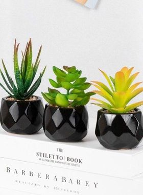 Fashion Artificial Plant Mini Tasteless Everlasting Vivid
