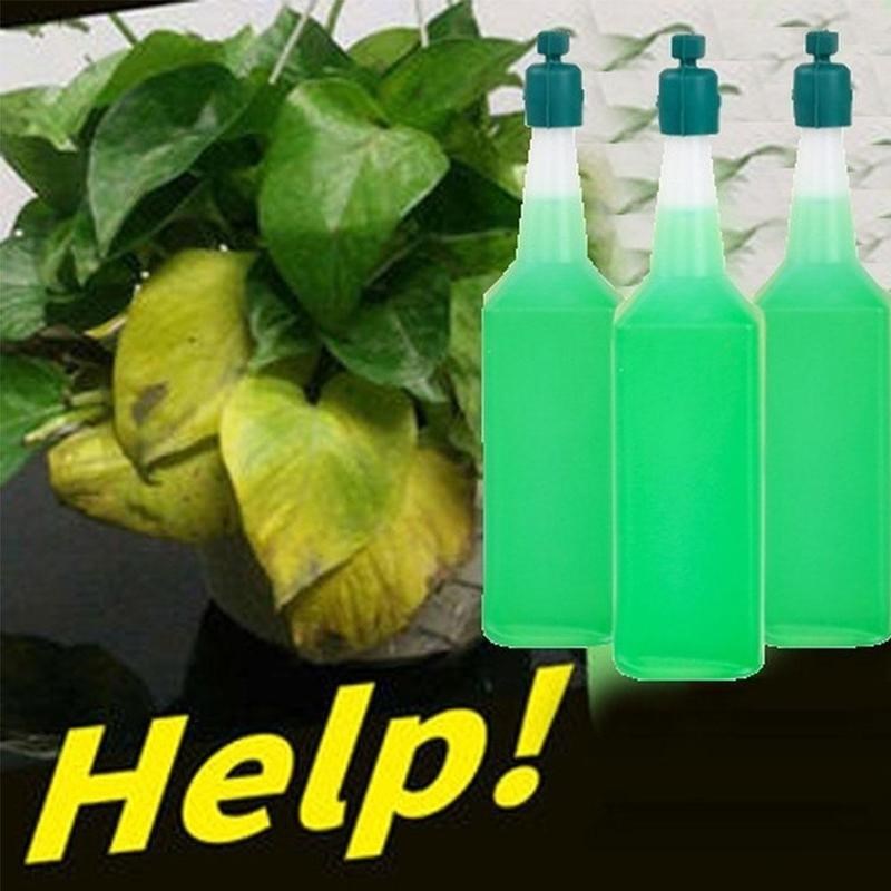 Hydroponic Plant Nutrient Solution Fertilizer Rich Bamboo Fl