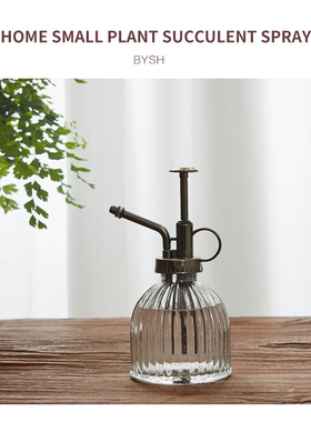 Plant Flower Glass Watering Pot Spray Bottle Sprinkler For