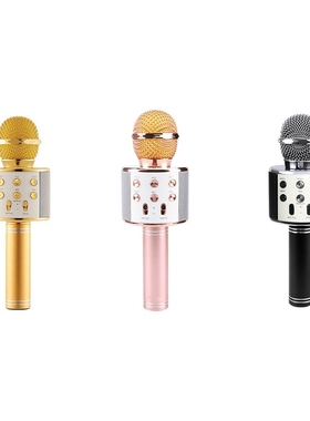 WS858 Wireless Usb Microphone Professional Condenser Karaok