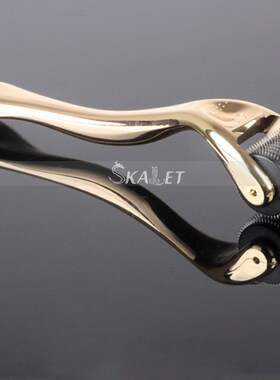 DRS540 Hot Hair Restoration Itanium Microneedle Derma Rolle