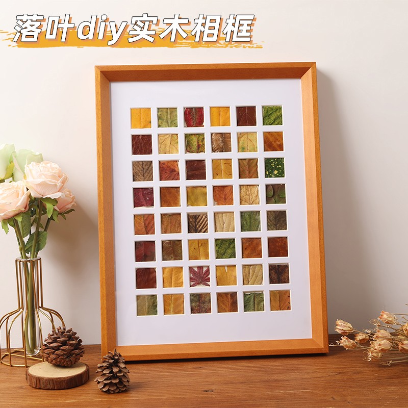 落叶树叶标本相框手工diy秋天叶子收集48宫格画框装饰画桌面摆件图片