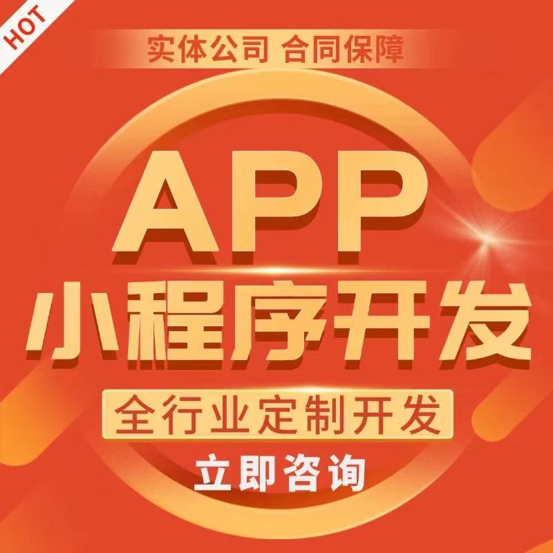 APP开发定制海外社交商城物联网ERP管理软件智能小程序制开发
