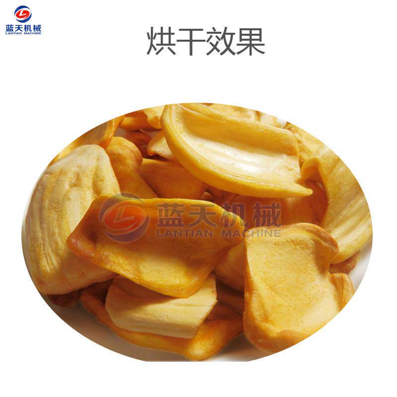 全自动菠波萝蜜烘干机蜜 空气LT-BLMHG能菠萝 干烘干机罗蜜树菠萝