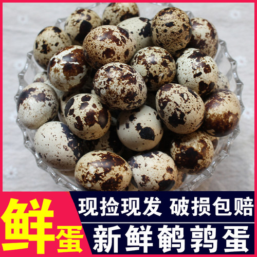 【顺丰包邮】农家散养新鲜鹌鹑蛋