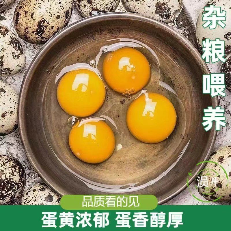 100枚生鹌鹑蛋新鲜农家散养鸟蛋清水火锅副食品一箱纯绿色当天产,水产肉类/新鲜蔬果/熟食,鹌鹑蛋,淘宝优惠券,粉丝福利购,淘宝优惠卷
