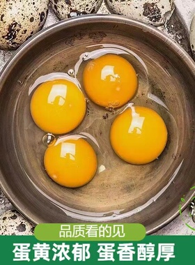 100枚生鹌鹑蛋新鲜农家散养鸟蛋清水火锅副食品一箱纯绿色当天产