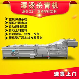 商用可控温蔬菜漂烫烫机式 连续竹杀青护色设备 芥兰笋漂BCN流水