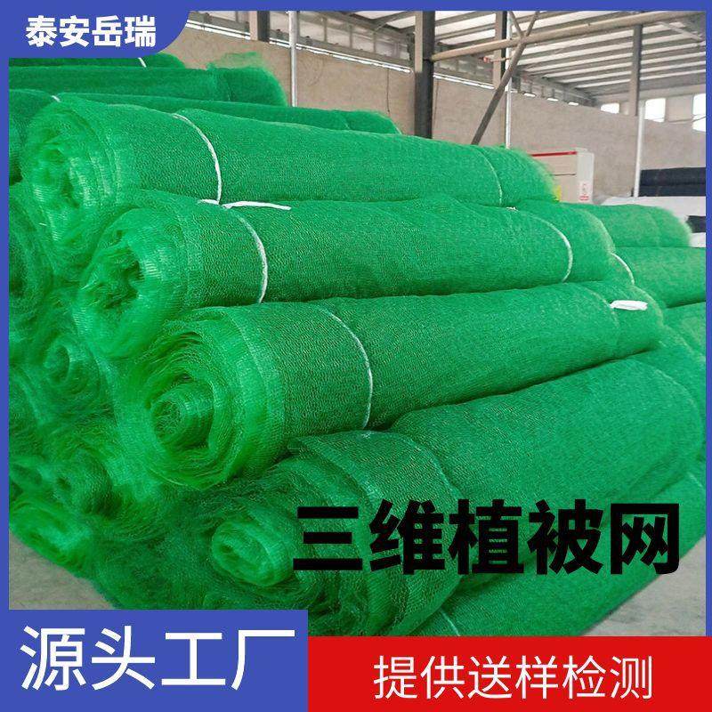 三维植被网植EM3 三维PEC土工植被网矿土工网 化护坡绿山修复用被
