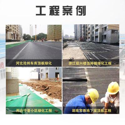 HDP植CTHE塑料蓄顶排水板库板屋顶绿化凹凸型疏水板室内种滤车水