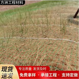 公边坡治理麻椰纤固土毯路 高边坡速荒漠化复绿植物维抗946冲生态