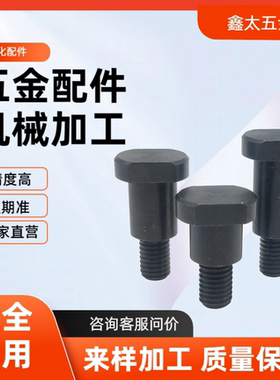 CBDBW4 5 6 8 10 12-1 2 3 4 5 6 8 10 12 1520MJK21支点台阶螺丝