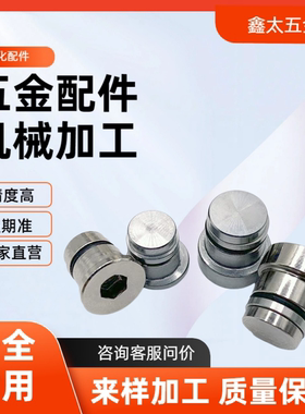 偏心销 直线导轨定位销 LLT LLTS 3.5 5 ICE11 ICE12-T3.5 T5