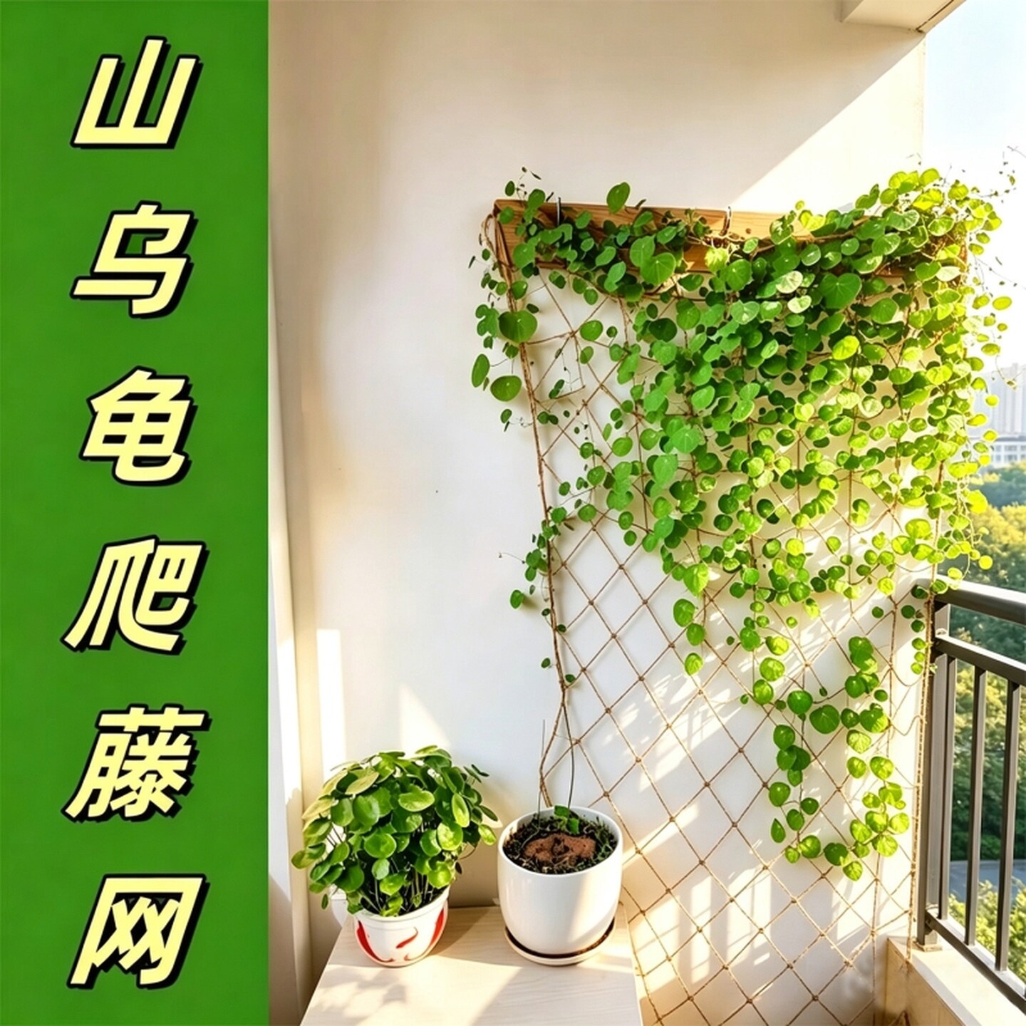 绳子爬藤绿植物室内专用线网格麻绳手工山乌龟月季蔷薇攀爬牵引网