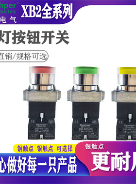 金属带灯按钮开关XB2-BW3361 BW3462 BW33B1C BW34B2C 自复位22MM