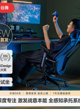 GT谷腾BIRCH 人体工学椅高端电脑椅子办公久坐电竞靠背力学座椅