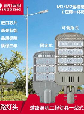 LED模组路灯头户外防水M1型固定式M2可调角100W150W200W300白暖光