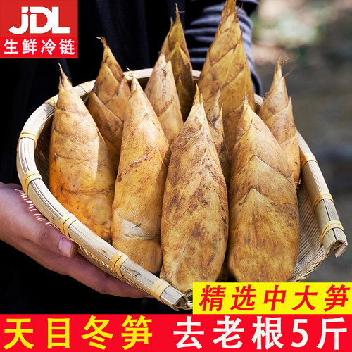 【送货上门次日达】临安天目冬笋