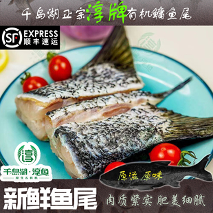 千岛湖正宗淳牌有机鱼尾胖头鱼花鲢真空包装锁鲜顺丰包邮单包500g