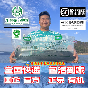 正宗千岛湖淳牌有机鱼千岛湖胖头鱼鲜活捕捞产地直发顺丰包邮到家
