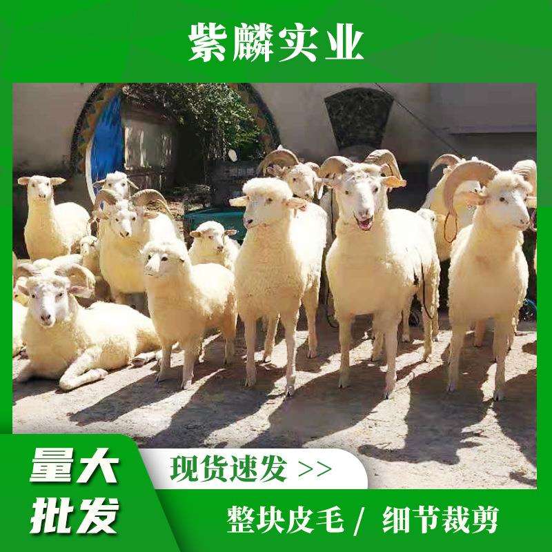 羊模型仿真山羊花园园林户外景区绵羊摆件农家乐幼儿园道具商场