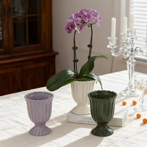 欧式风格陶瓷花盆蝴蝶兰花瓶