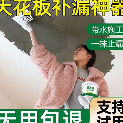 屋顶漏水背水面防水材料天花板卫生间渗水管道补漏室内墙面防霉潮