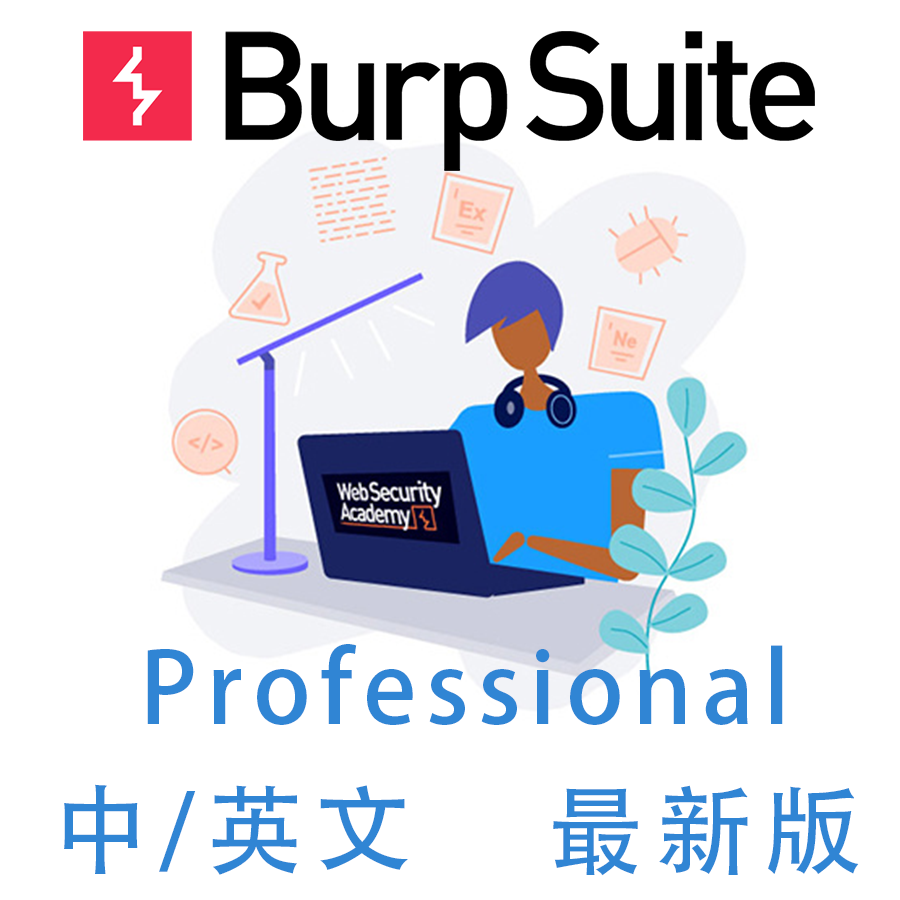 burpsuite专业版BurpSuite Professional2025.10新版安装中文汉化