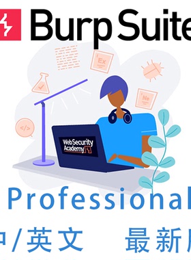 burpsuite专业版BurpSuite Professional2025.11新版安装中文汉化
