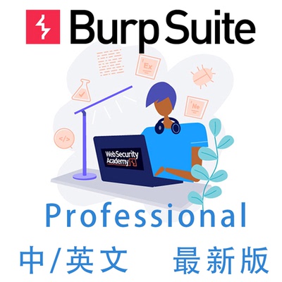 burpsuite专业版BurpSuite Professional2025.7新版安装中文汉化