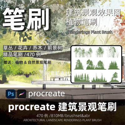 Procreate景观建筑手绘效果图植物笔刷iPad立面树乔木灌木PS素材