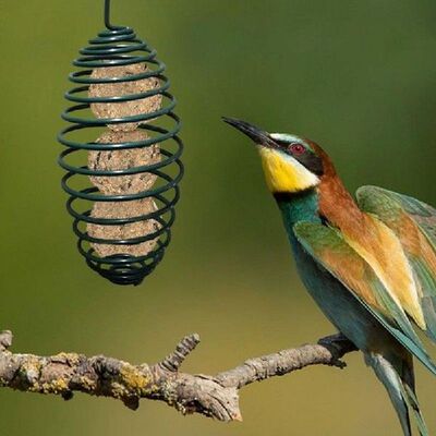 Kait Gantung Tempat Makan Burung Taman Liar Luar Ruangan