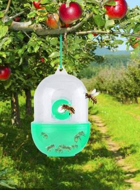 2Pcs Flying Insects Killer Wasp Traps Hanging Reusable Bee