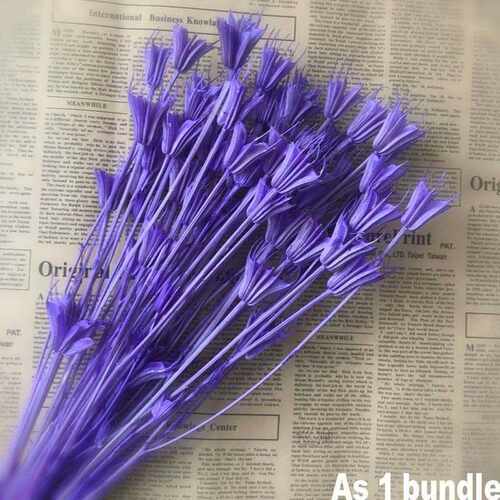 About 35 Flower Heads,Dried Natural Flowers Branch,DIY Dry E