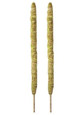 2 Pack 24 Inch Real Moss Pole for Monstera Bendable Plant