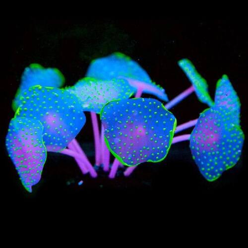 11 Leaves Silicone  Artificial Fish Tank Aquarium Coral