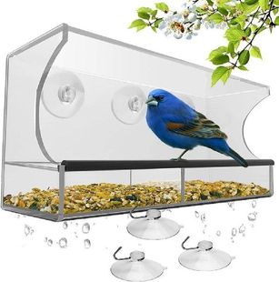 Window Bird Feeder Transparent Detachable Acrylic Bird