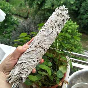White Sage Smudge s Sage Smudge Incense s se for Home Cleans