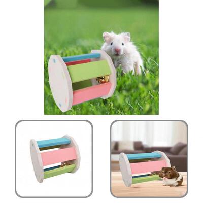 Safe Rainbow Hamster Gerbils Rats Chinchillas Exercise