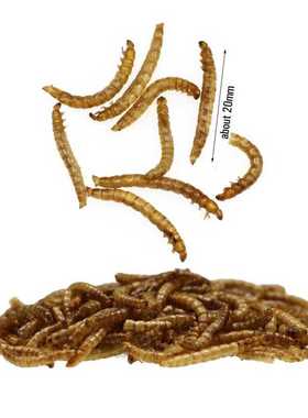 1 Bottle Dry Bread Worm Maggots Insect Baits High Protein Ca
