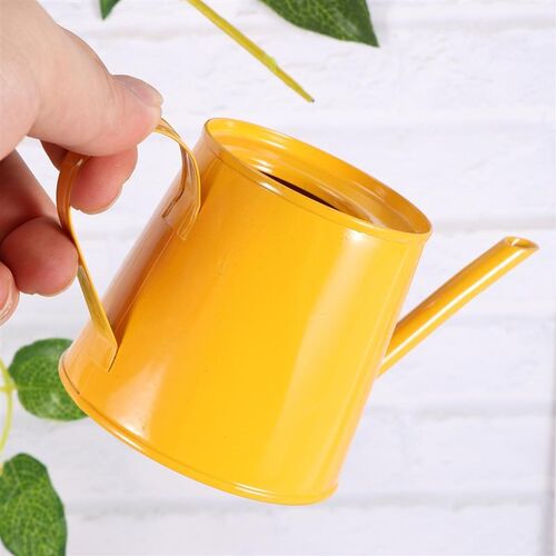 Water Can Garden Mini Iron Watering Can Household Watering C