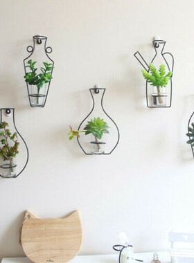 Nordic Style Iron Frame Vase Wall Hanging Plant Dried Flower