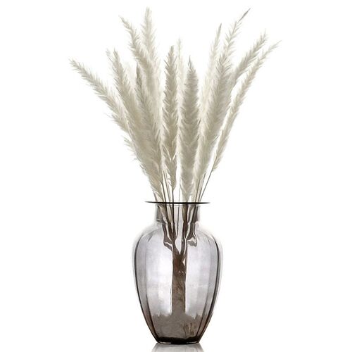 Natural Dried Flowers Lagurus Ovatus Rabbit Bunny Tail Grass
