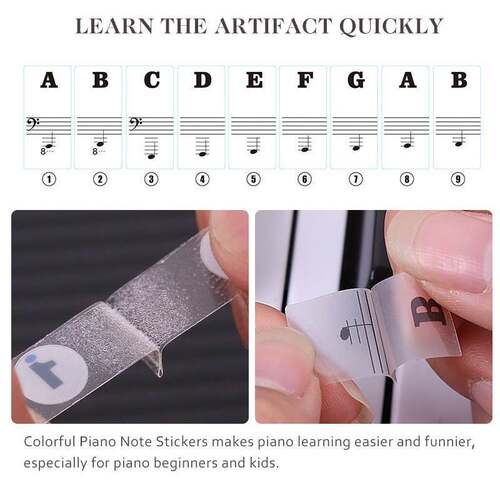 Piano Keyboard Stickers Removable Keys Transparent Beginner