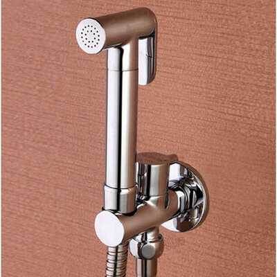 Toilet Brass Hand Held Bidet Spray Shower Head Douche Kit Sh