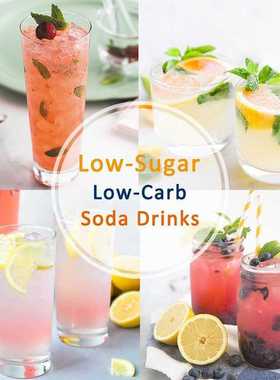 Siphon Soda Water Maker 1L Water Bubble Generator Aluminum S