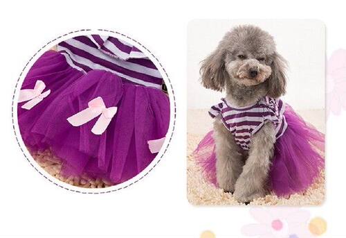 Dog Clothes For Small Dogs Dress Spring Summer Puppy Small