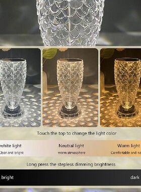 LED Crystal Projector Lamp USB Charging Nightstand Lamps