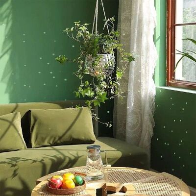 Disco Ball Hanging Flower Pot For Indoor Plant Bohemian